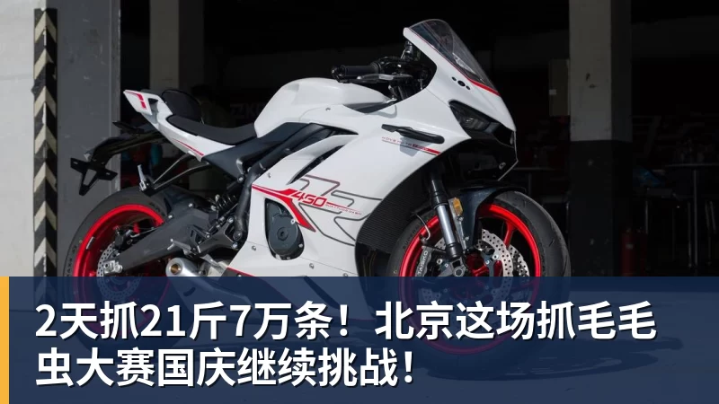mk体育2天抓21斤7万条！北京这场抓毛毛虫大赛国庆继续挑战！
