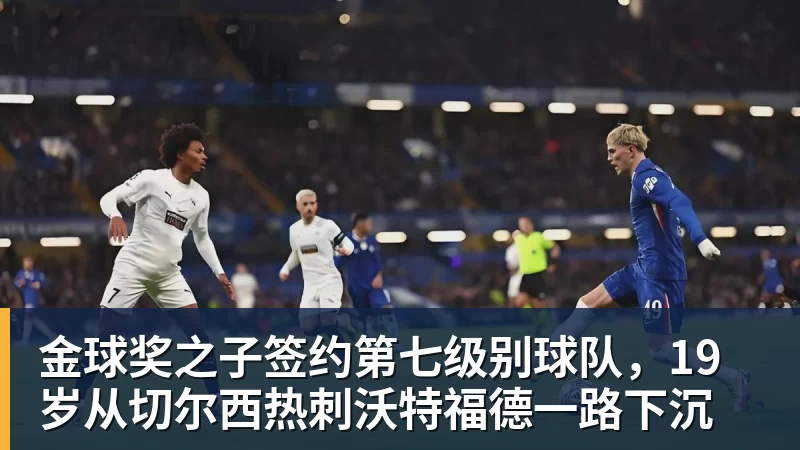 预算3000到8000元电视怎么选?不同预算双十一换电视思路看这篇 - mk体育·(国际)官方网站 - mksport